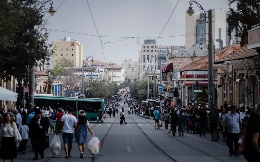 people walking on street during daytime